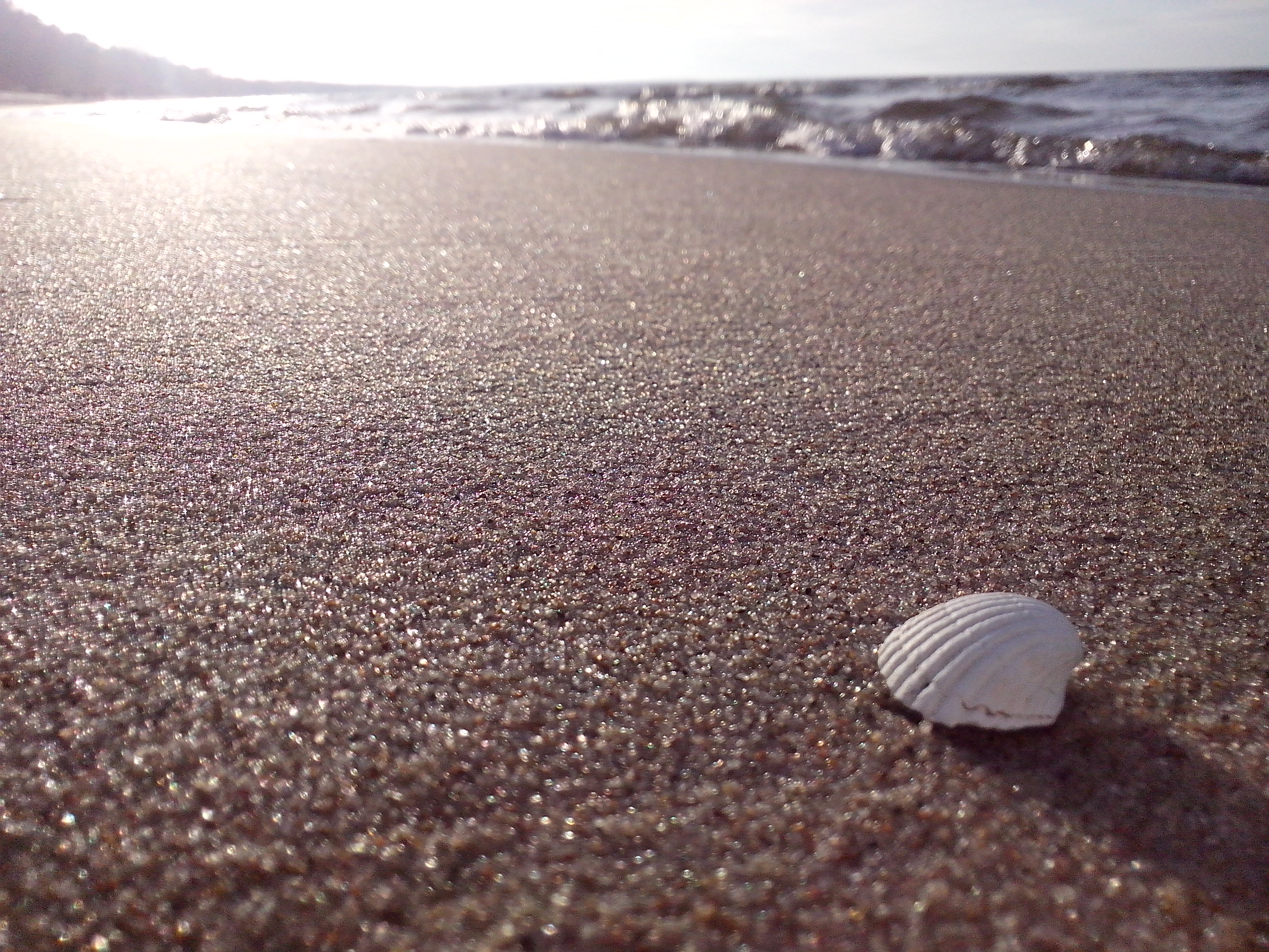 Image is not available