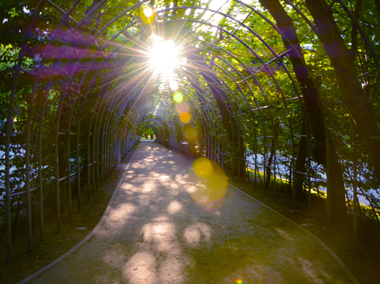 Image is not available